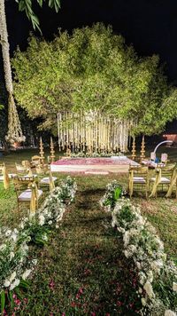 review-Aahana Resort Jim Corbett