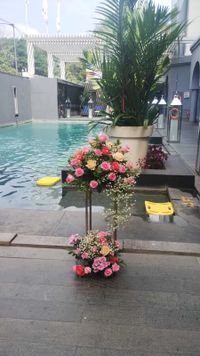 review-Melting Flowers