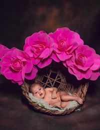 review-Yellow Red Photography