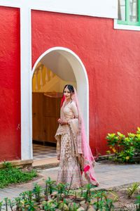 review-The Wedding Diaries