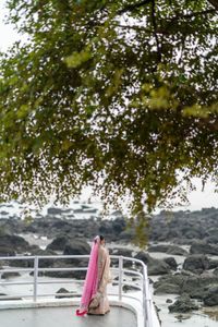 review-The Wedding Diaries