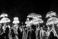 review-WEDNARA
