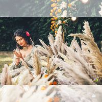 review-Nazara