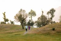 review-The Wedwell by Praveen Rathore