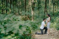 review-The Wedwell by Praveen Rathore
