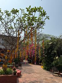 review-Rajbari Bawali