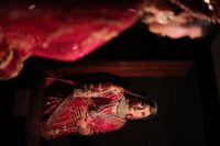 review-Glimz and Gloss by Jyoti Bhatia