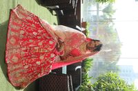 review-Kalpana Nandu Bridal Makeover