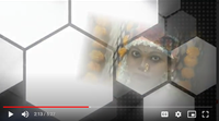 review-Surbhi Productions 
