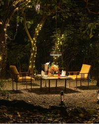 review-Saraca Resort & Spa Corbett