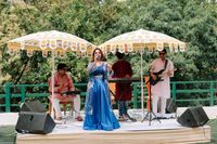 review-Neelam Chauhan Musical Group