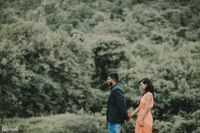 review-Photomist