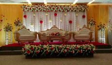 Royal Weddings