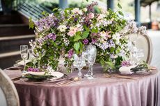 Denise Lillie Engagements