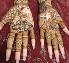 Raghav Mehandi Artist 