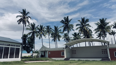 Mahotsav Farms