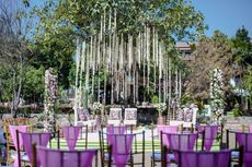 Pleasant Tree Hotels