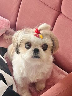 anonymous_645a19e3-8edc-4176-aac6-9820e78a9920