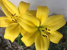 anonymous_f6ec99fe-5d1b-464d-a9fd-ee20cbaf8e4f