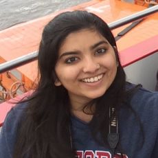 Tulsi Karan