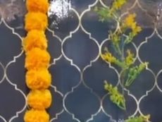 Aarti Panday