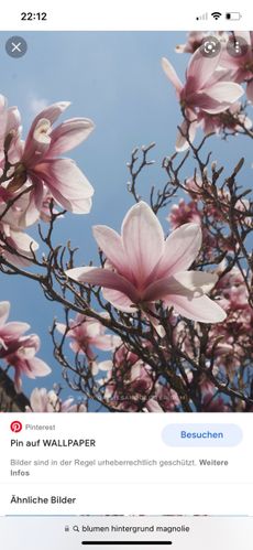 anonymous_1bbc4d7d-3cd0-4051-b4de-4fd84fdcebc0