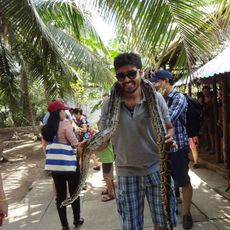 प्रेरक धारिआ