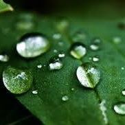 Rajeshwari Rajendran