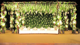 6 Seasons Studio
