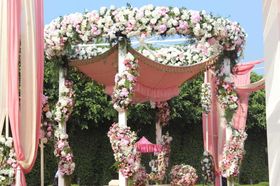 Daffodils Event Organizer