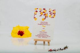 Seed Paper India