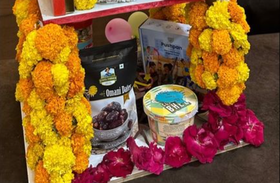 Cocoon The Fantasy Venture