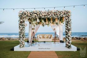 Shine Flora Official