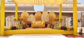 Elegant Decor