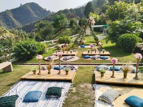 Suri Destination Wedding Planner