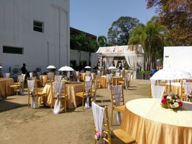 Red Mustang Official