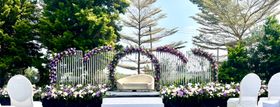 Pearls Wedding N Events