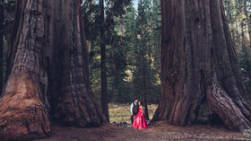Indian Wedding Snap