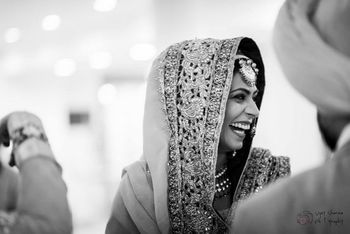 Wedding Photoshoot & Poses Photo