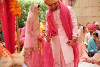 Light Pink  Photo