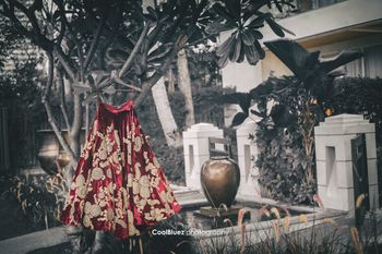 Wine color bridal lehenga