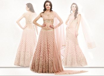 Photo of light pink lehenga