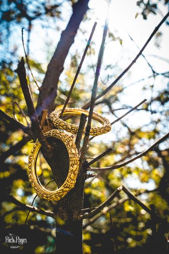 Gold kadas shot on branches 