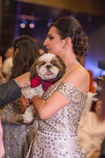 Bride with dog wearing bow tie 