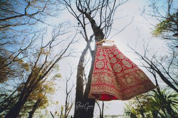 Red Lehenga on Hanger on Tree Branch
