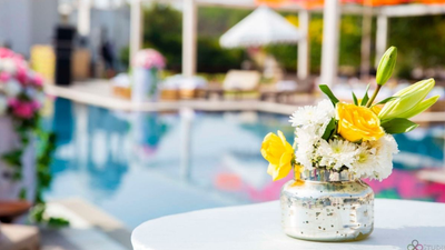 Album in City Jaipur