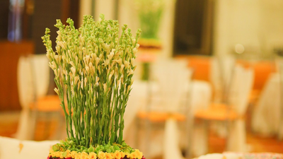 Rajnigandha Delight!