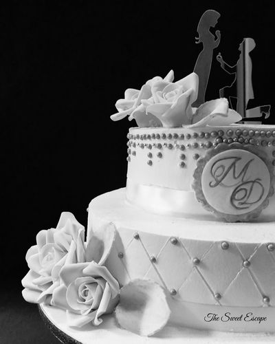 portfolio-pic