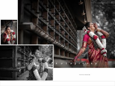 portfolio-pic