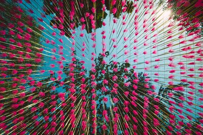 Photo of fuschia pink floral wall